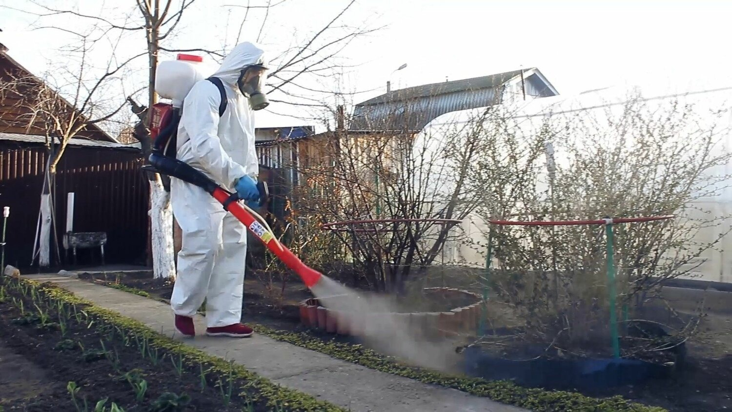 ФОТО Уничтожение муравьёв в Утте