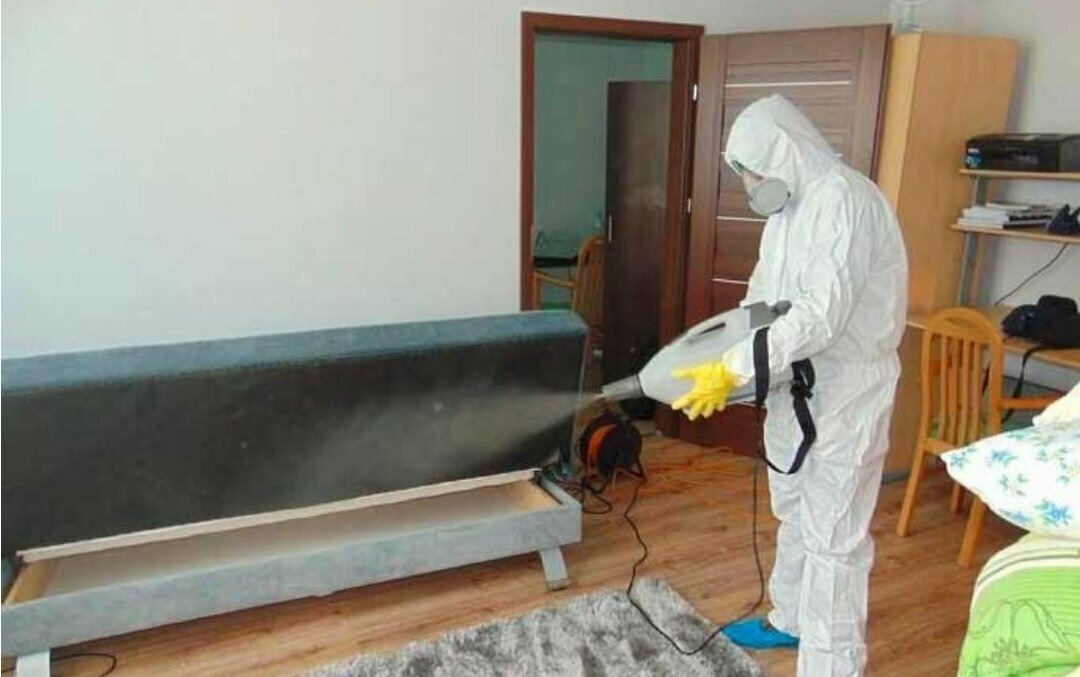 ФОТО Уничтожение блох в Утте