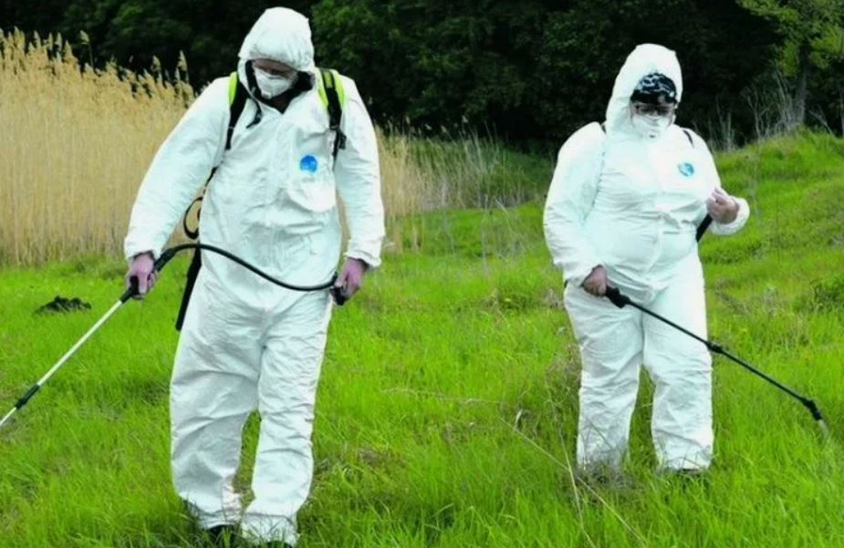 ФОТО Обработка от клещей в Утте