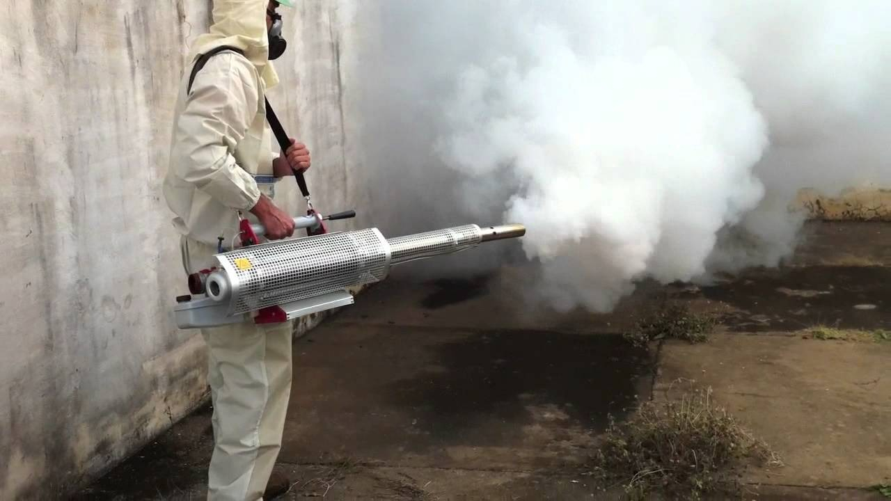 ФОТО Уничтожение мух в Утте