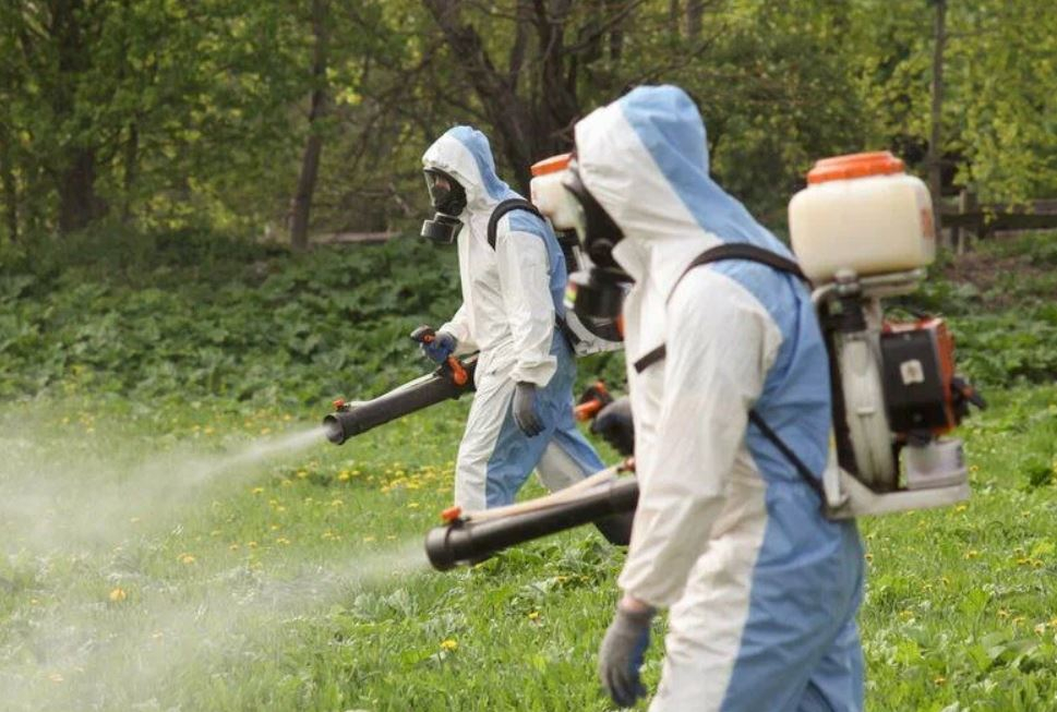 ФОТО Что такое дезинсекция в Утте? | подробно