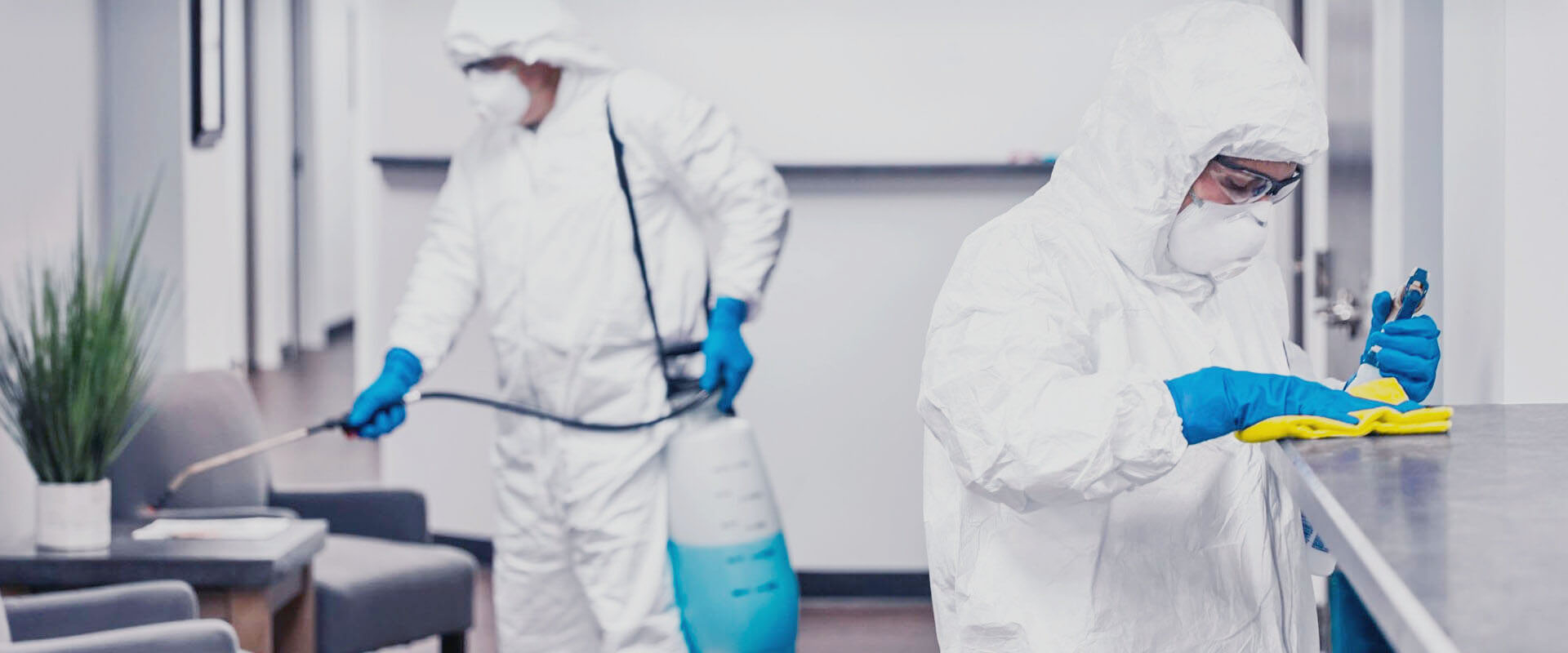 ФОТО В чем разница между дезинфекцией и дезинсекцией в Утте? | подробно