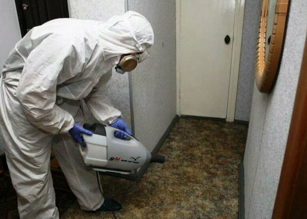 ФОТО Какие методы обработки для дезинсекции существуют в Утте? | подробно