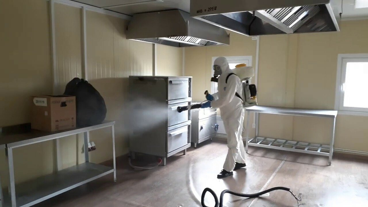 ФОТО Можно ли провести дезинсекцию самостоятельно и какие существуют риски в Утте? | подробно