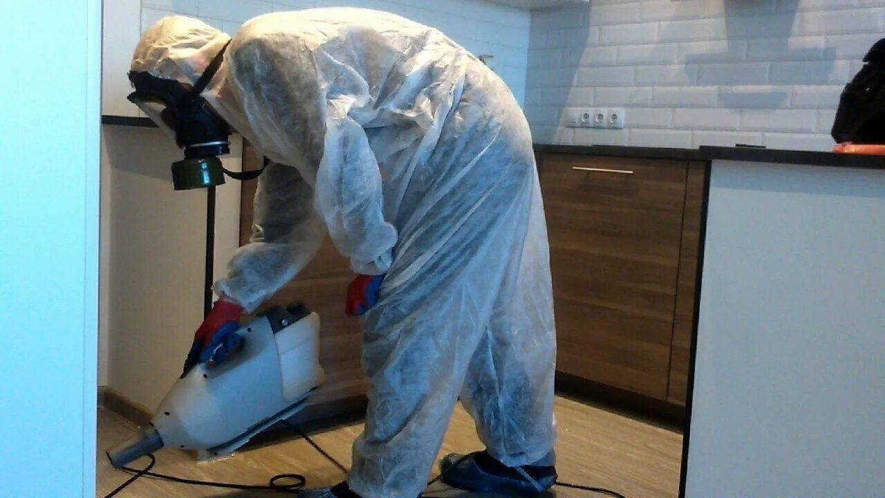 ФОТО Как подготовить домашних животных к обработке от насекомых в Утте? | подробно