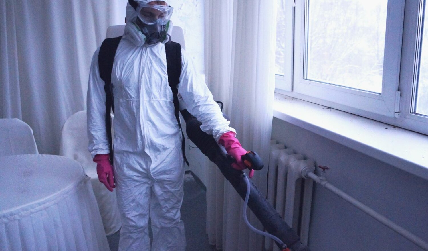 ФОТО Нужно ли выносить растения при дезинсекции в Утте? | подробно