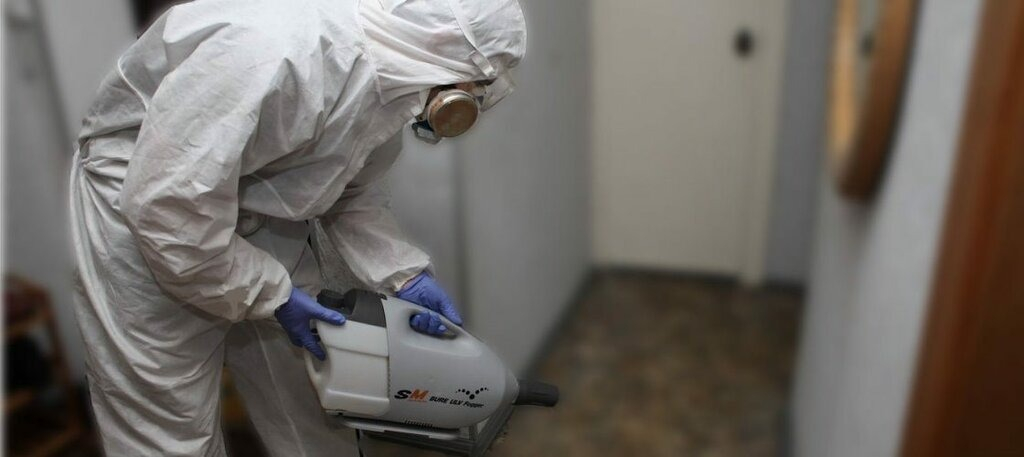 ФОТО Остаются ли следы после обработки квартиры от насекомых в Утте? | подробно