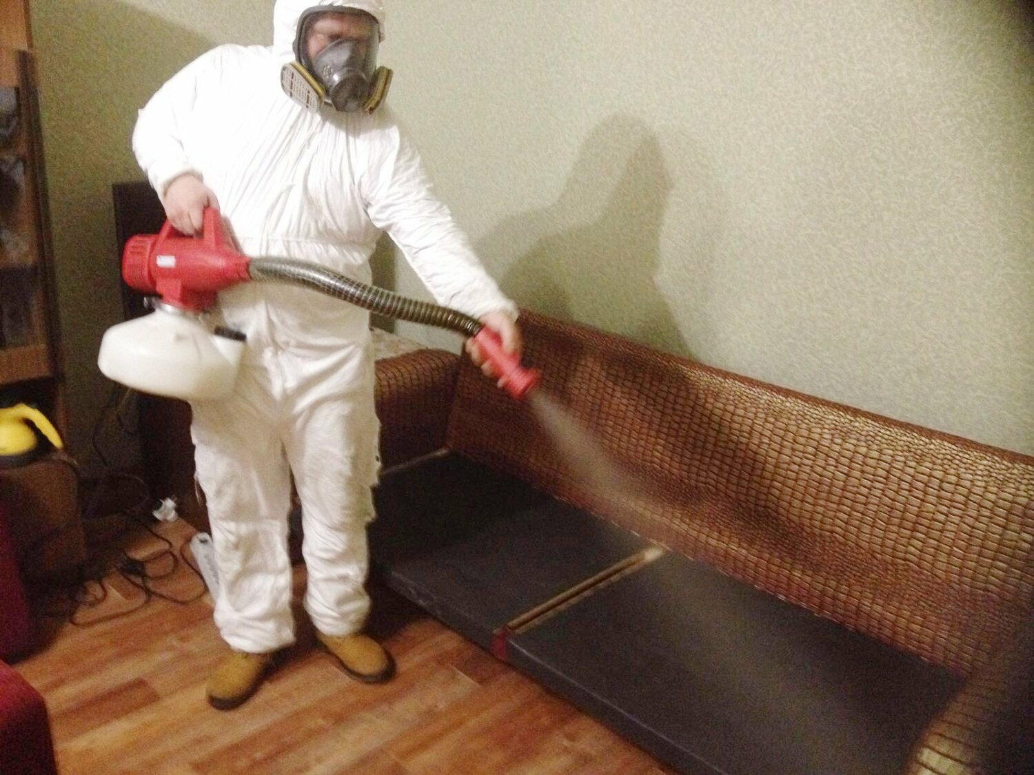 ФОТО Когда можно вернуться в помещение после дезинсекции в Утте? | подробно